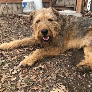 Meet your Posher, Jack